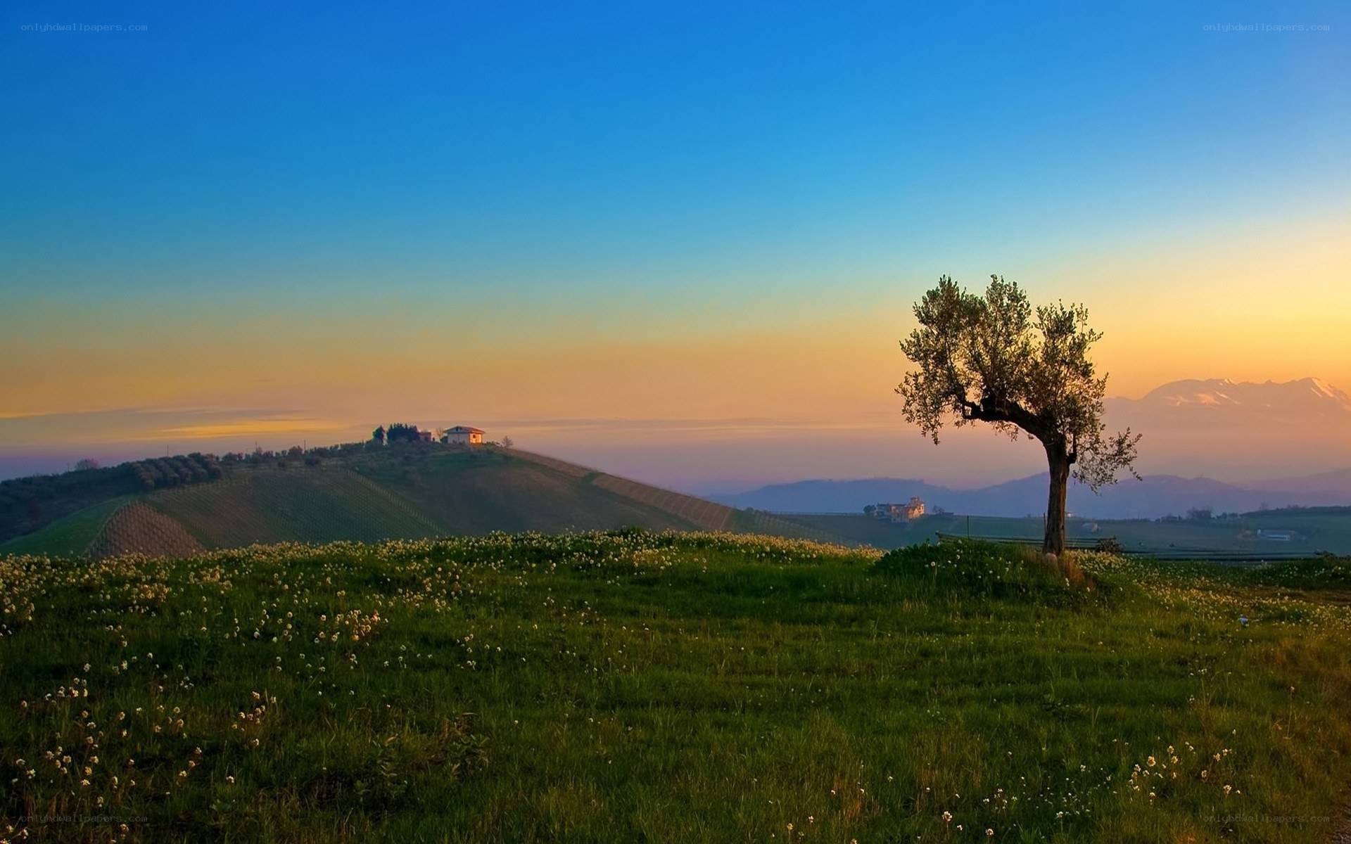 Sunset over a Tuscan hillside