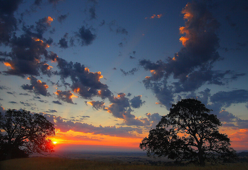Sunset over a valley with trees
