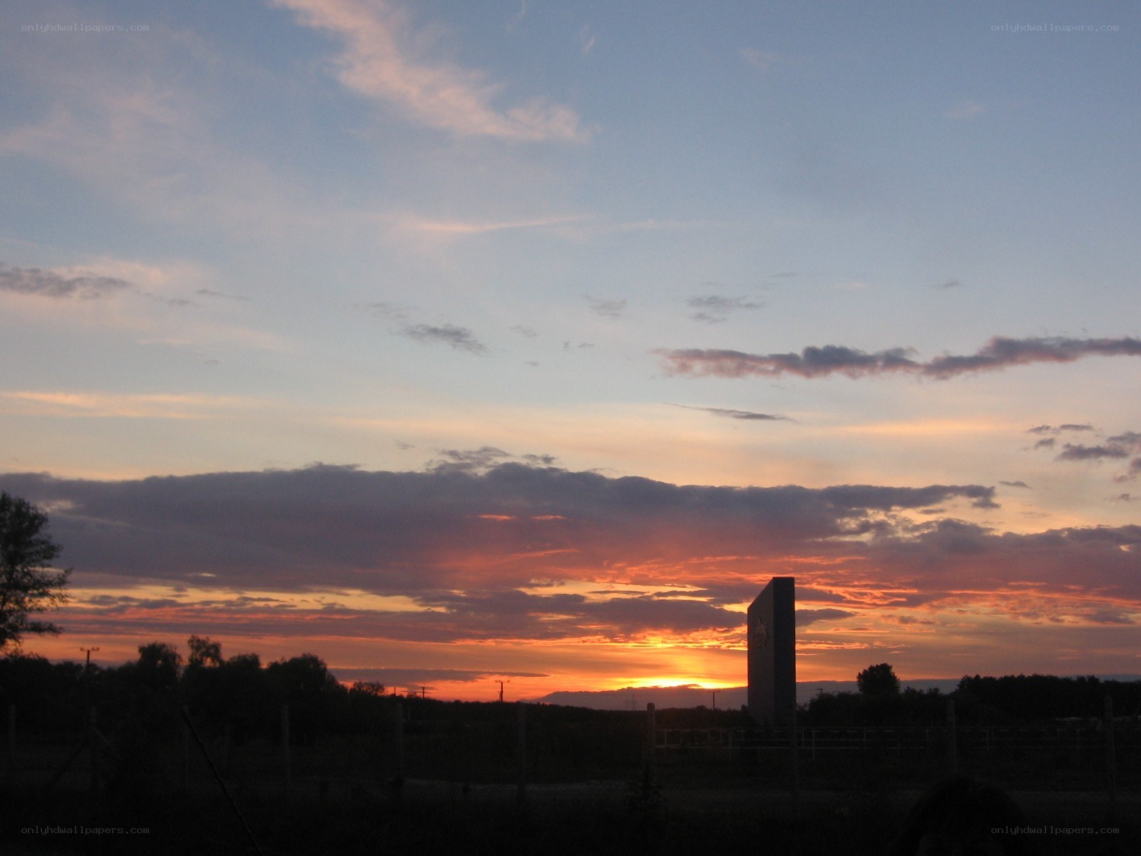 sunset over a vineyard