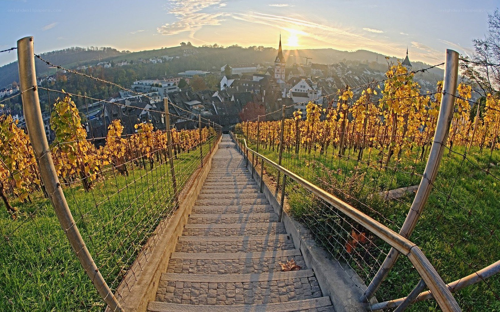 Sunset over a vineyard village