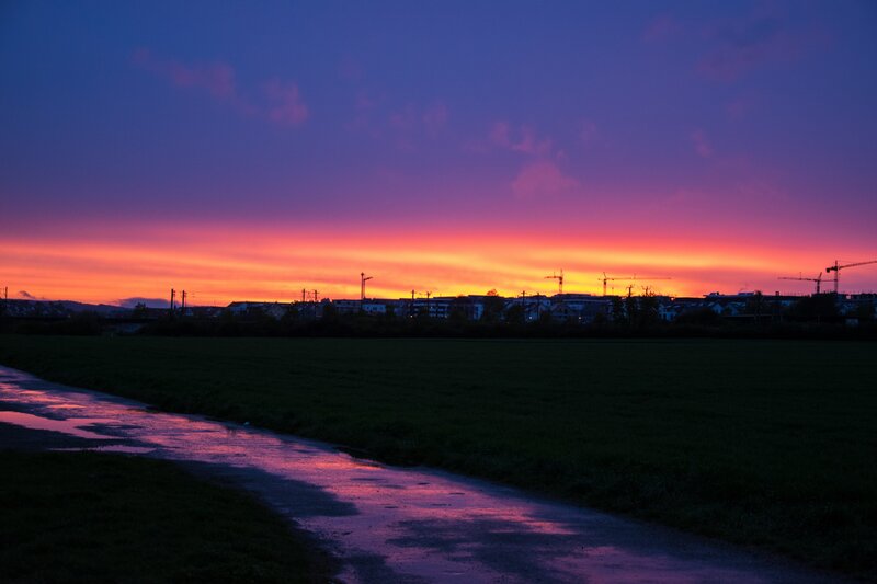Sunset over a wet path