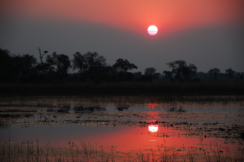 Sunset over a wetland