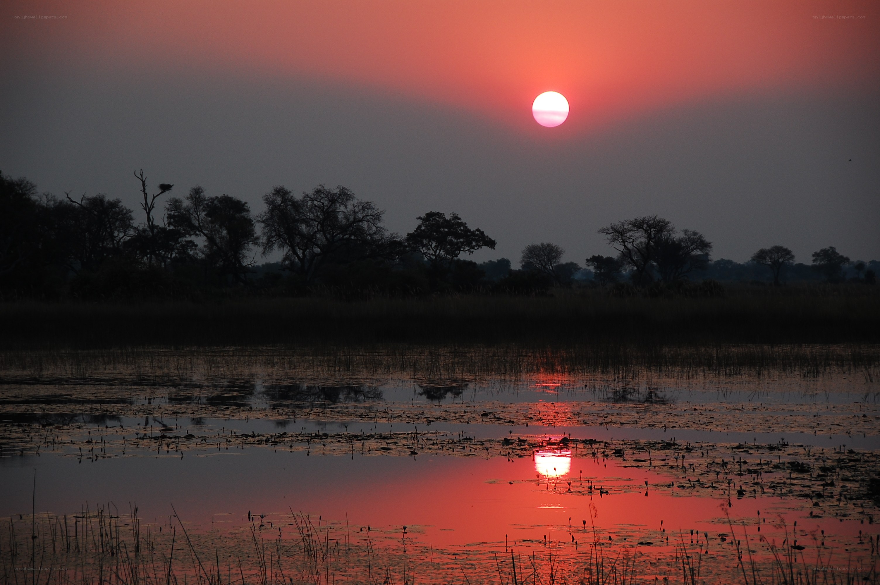 Sunset over a wetland