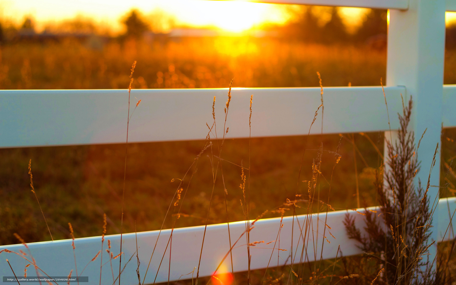 Sunset over a white fence