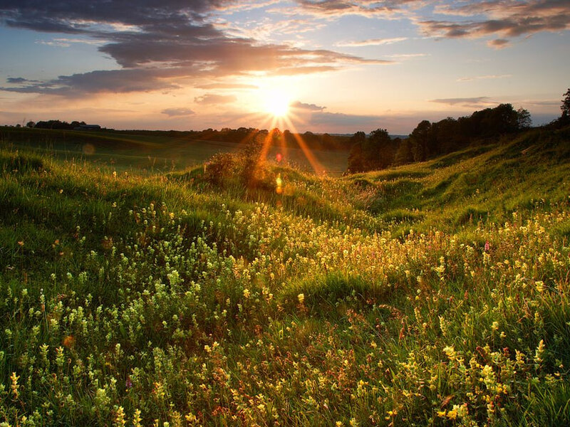Sunset over a wildflower meadow