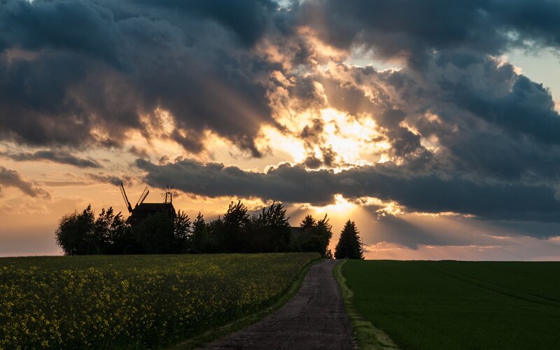 Sunset over a windmill field