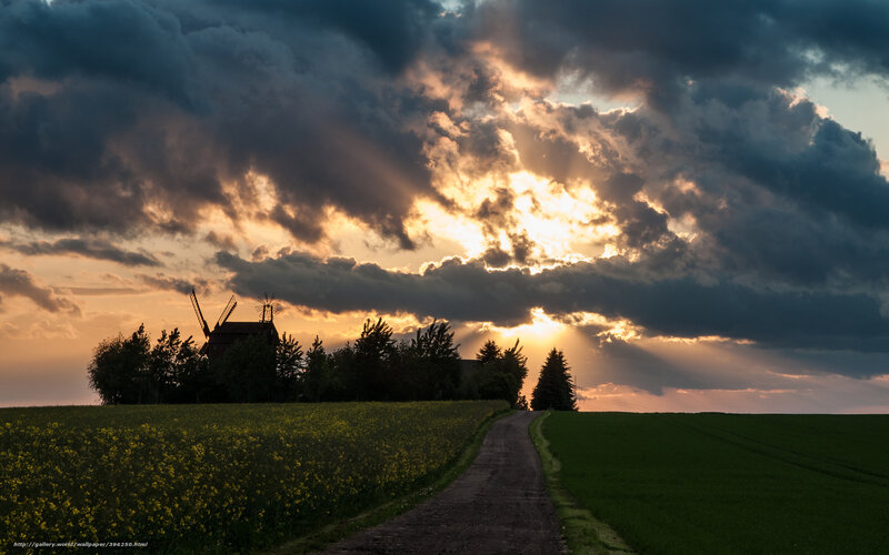 Sunset over a windmill field