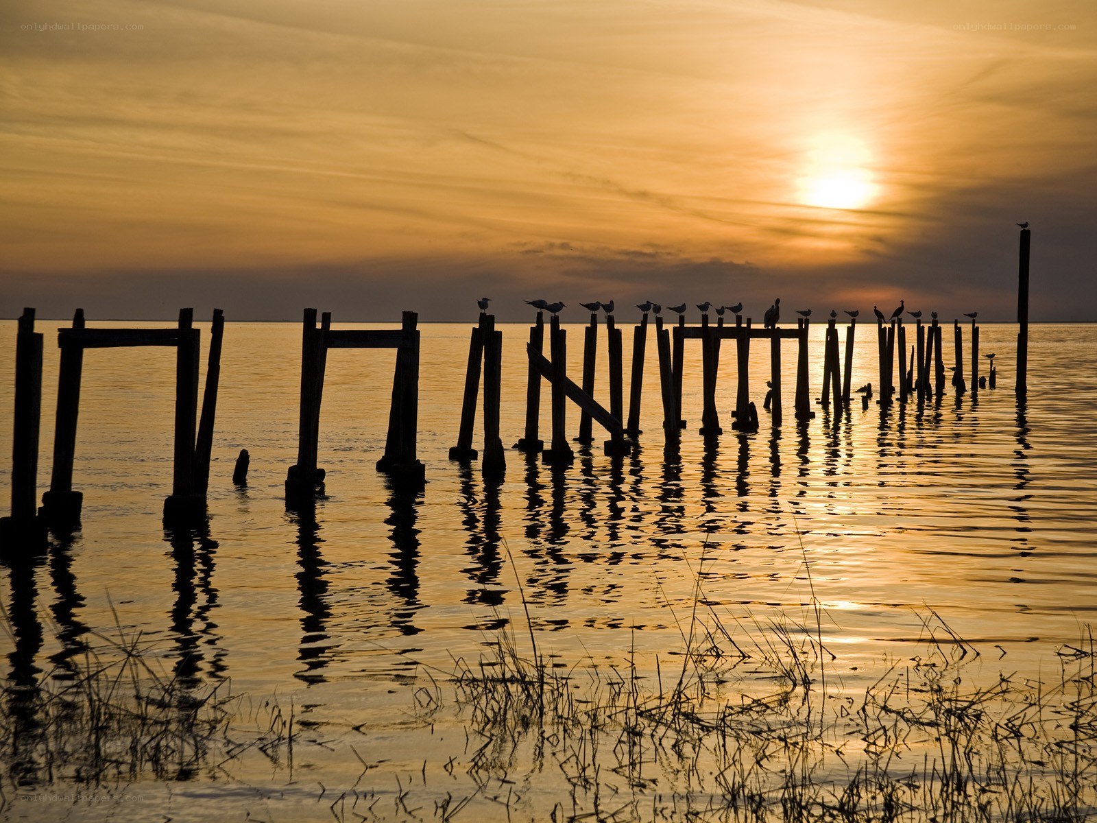Sunset over a wooden pier