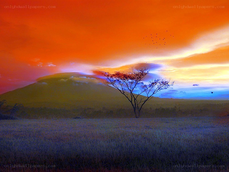 Sunset over African landscape