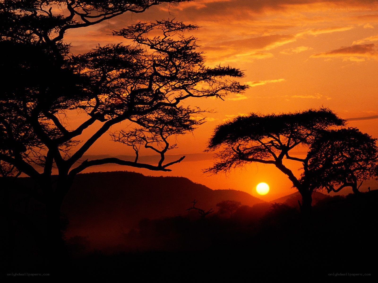 Sunset over African savanna