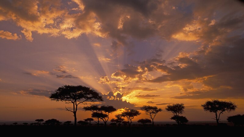 Sunset over African savanna