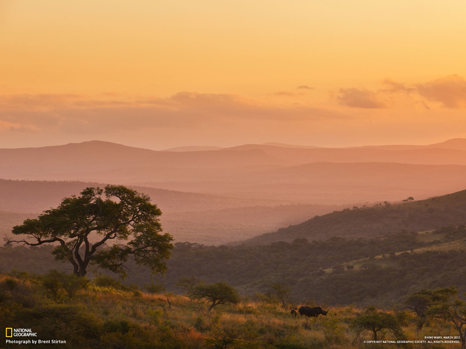 Sunset over African savanna