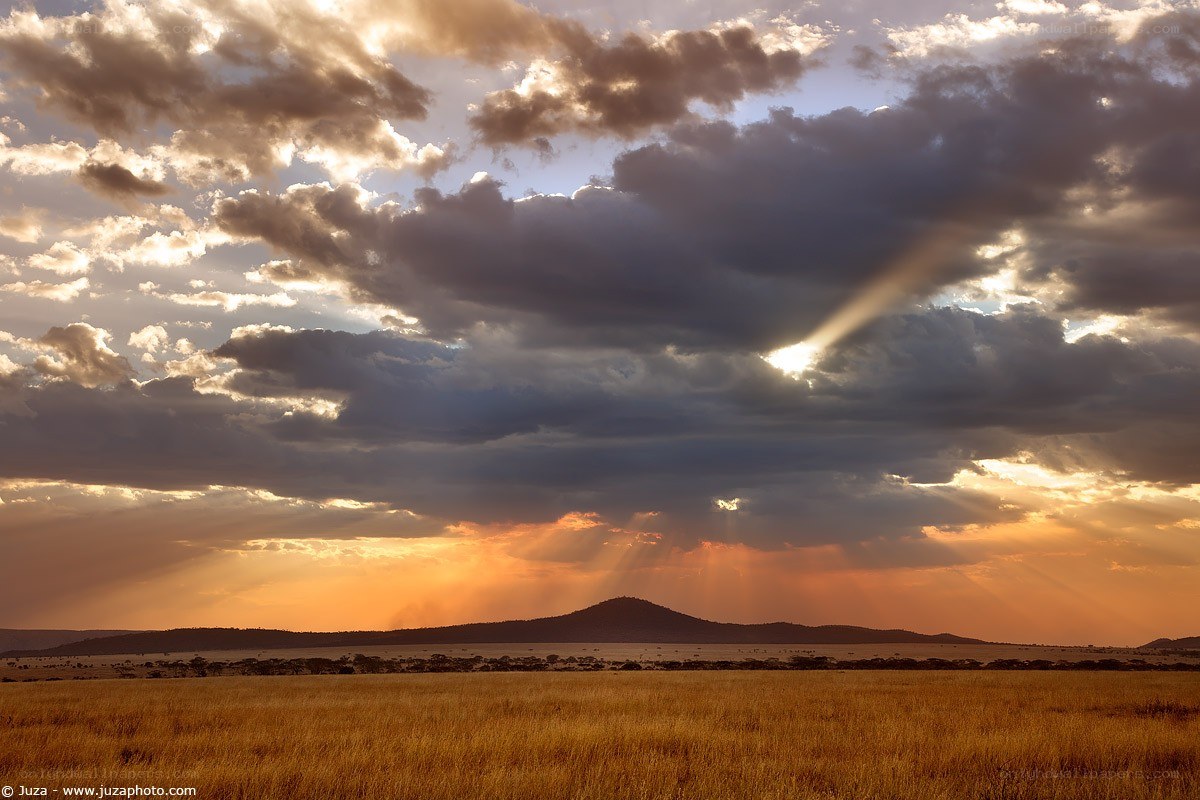 Sunset over African savanna