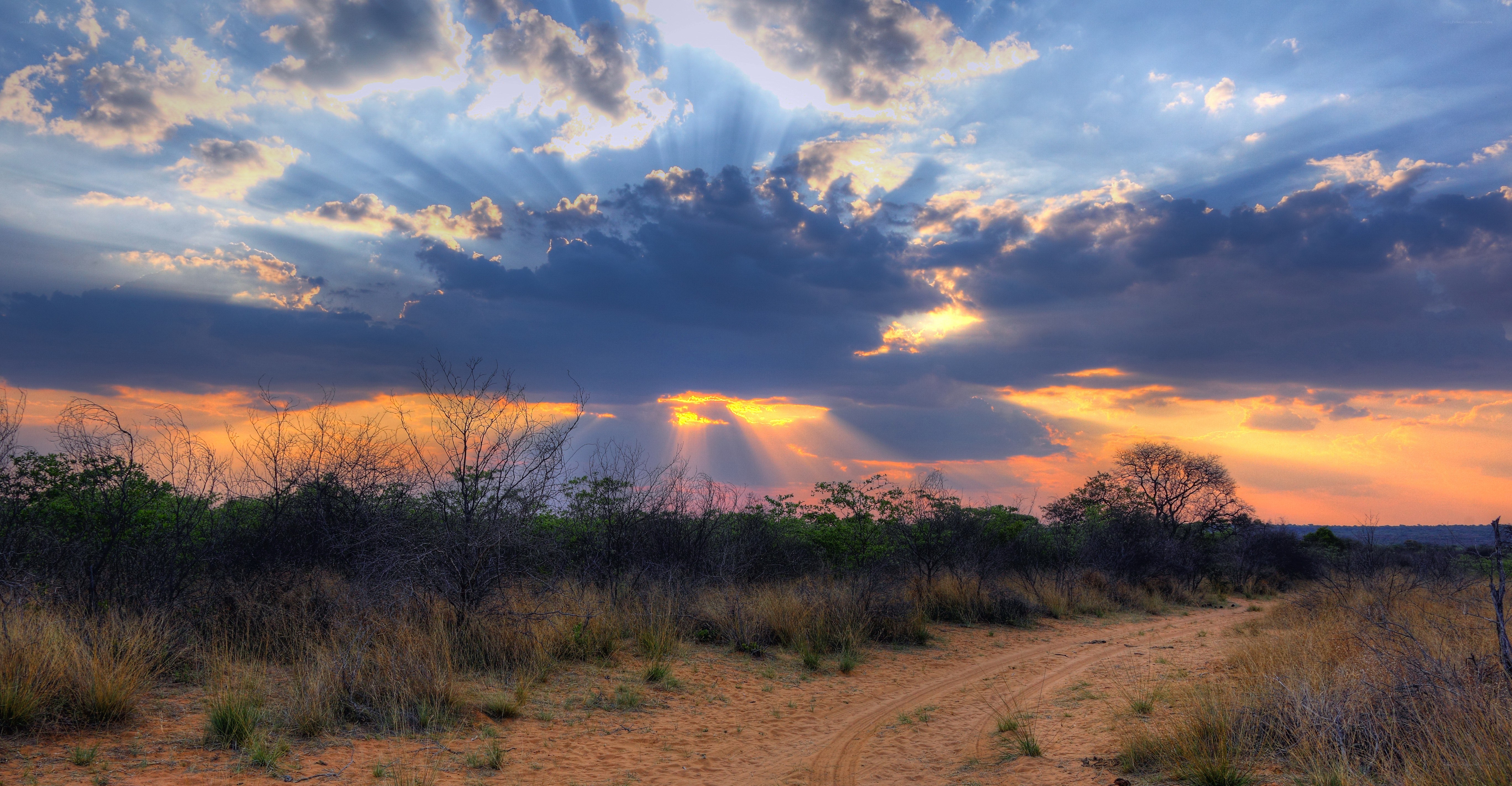 Sunset over African savanna