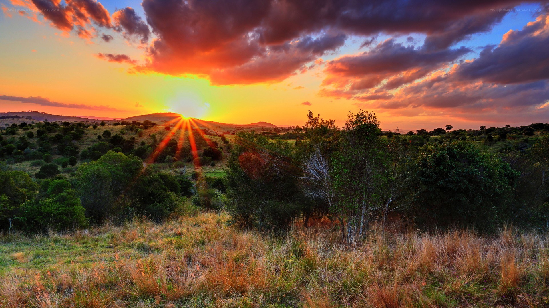 Sunset over African savanna