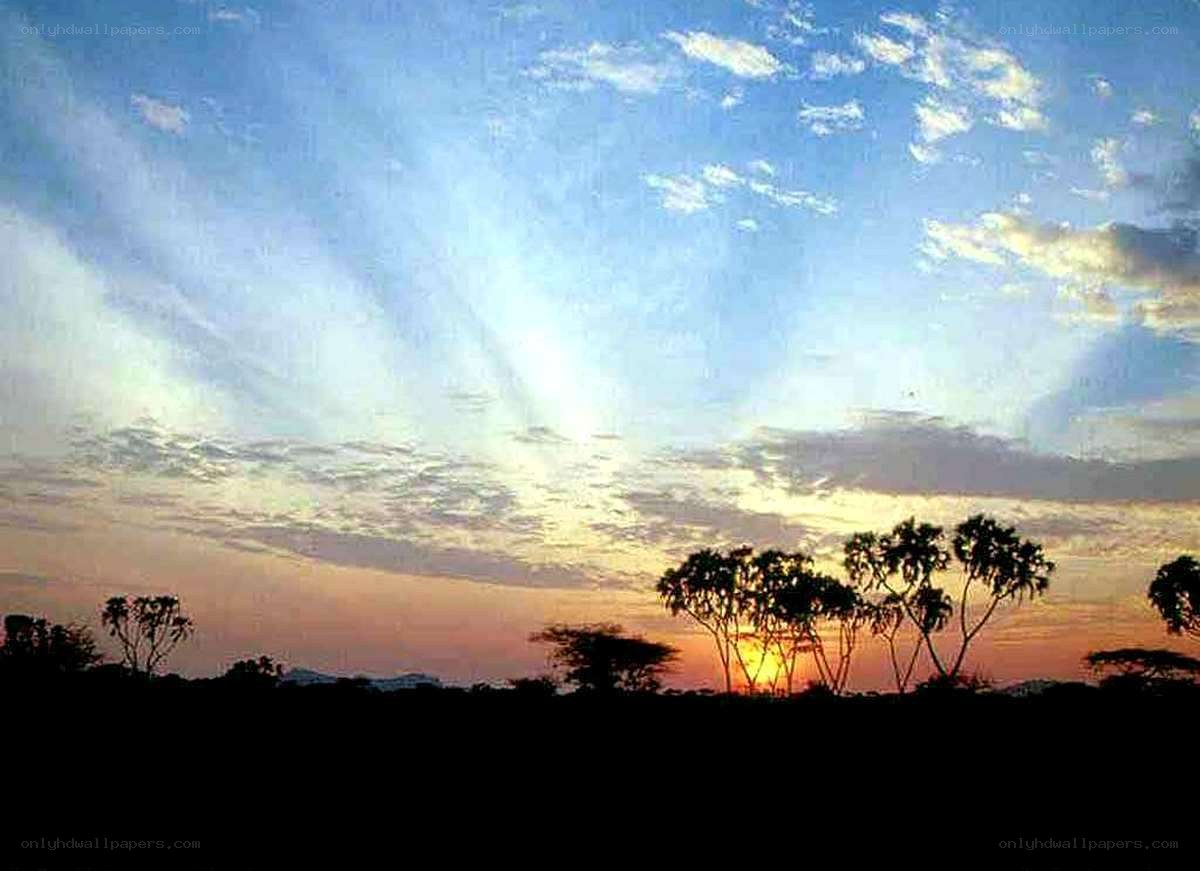 sunset over african savanna
