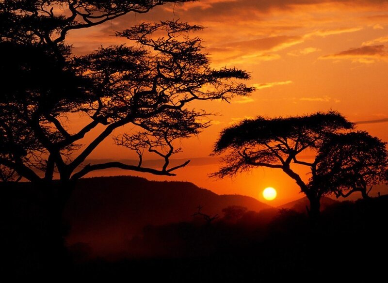 Sunset over African savanna
