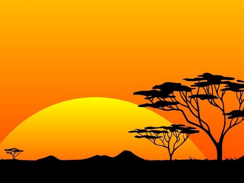sunset over african savanna
