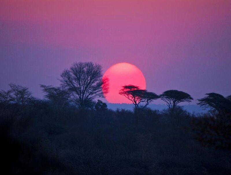 Sunset over African savanna