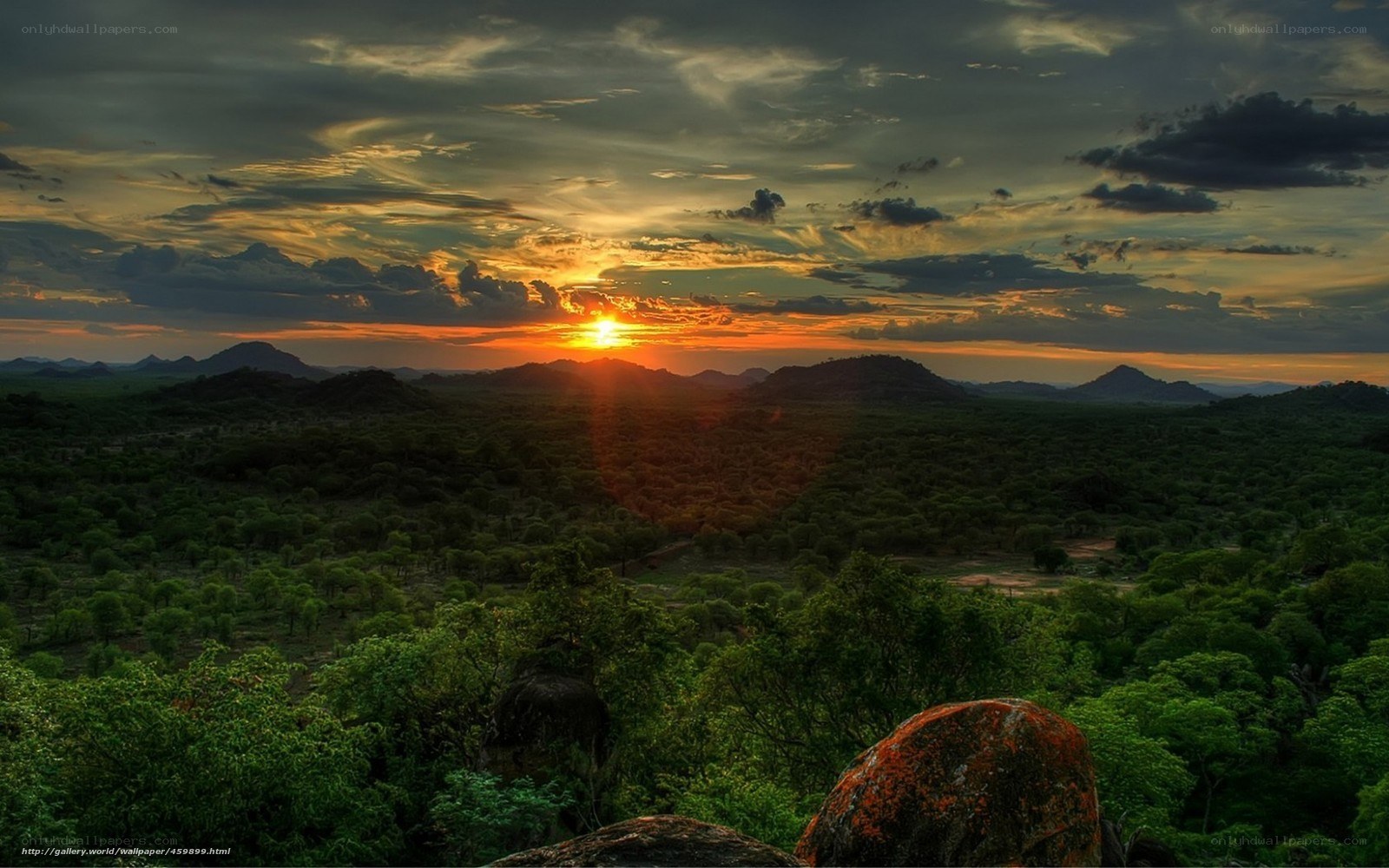 Sunset over African savanna