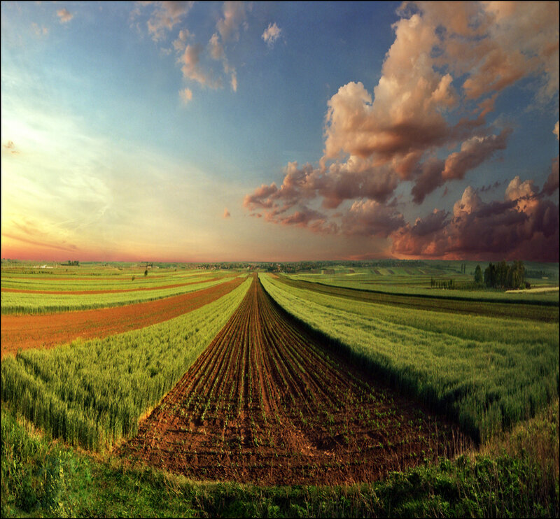 Sunset over agricultural fields