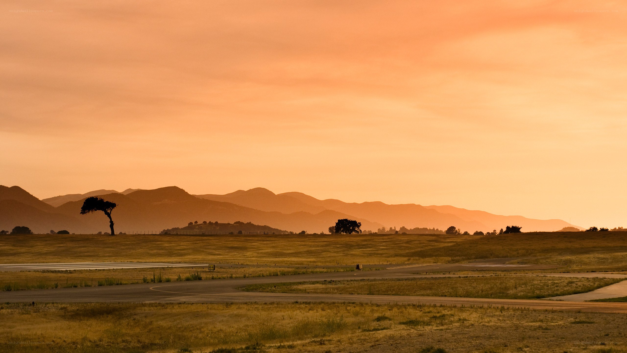 Sunset over airport runway