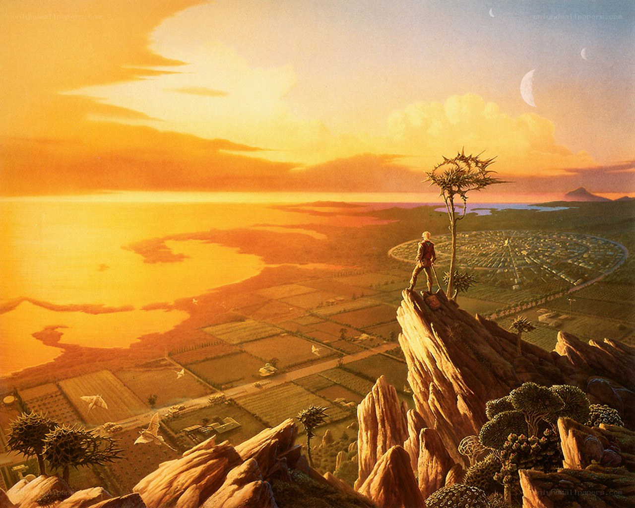 Sunset over alien landscape