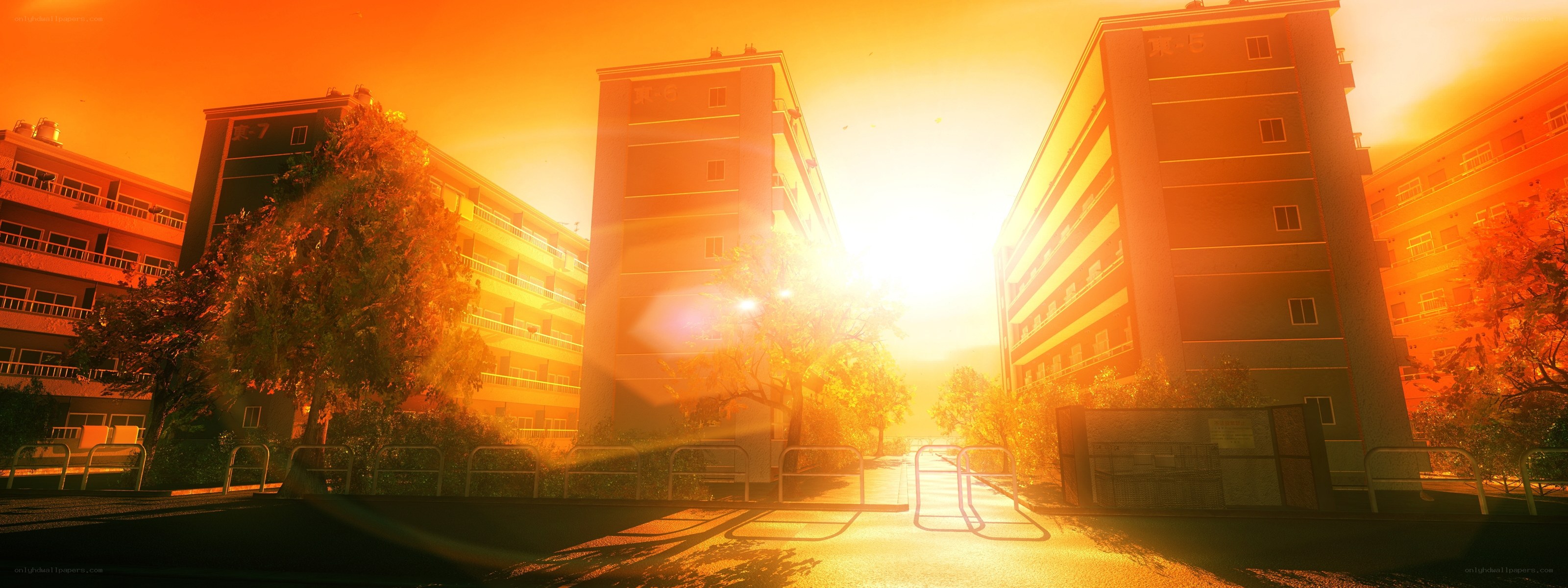 Sunset over apartment buildings