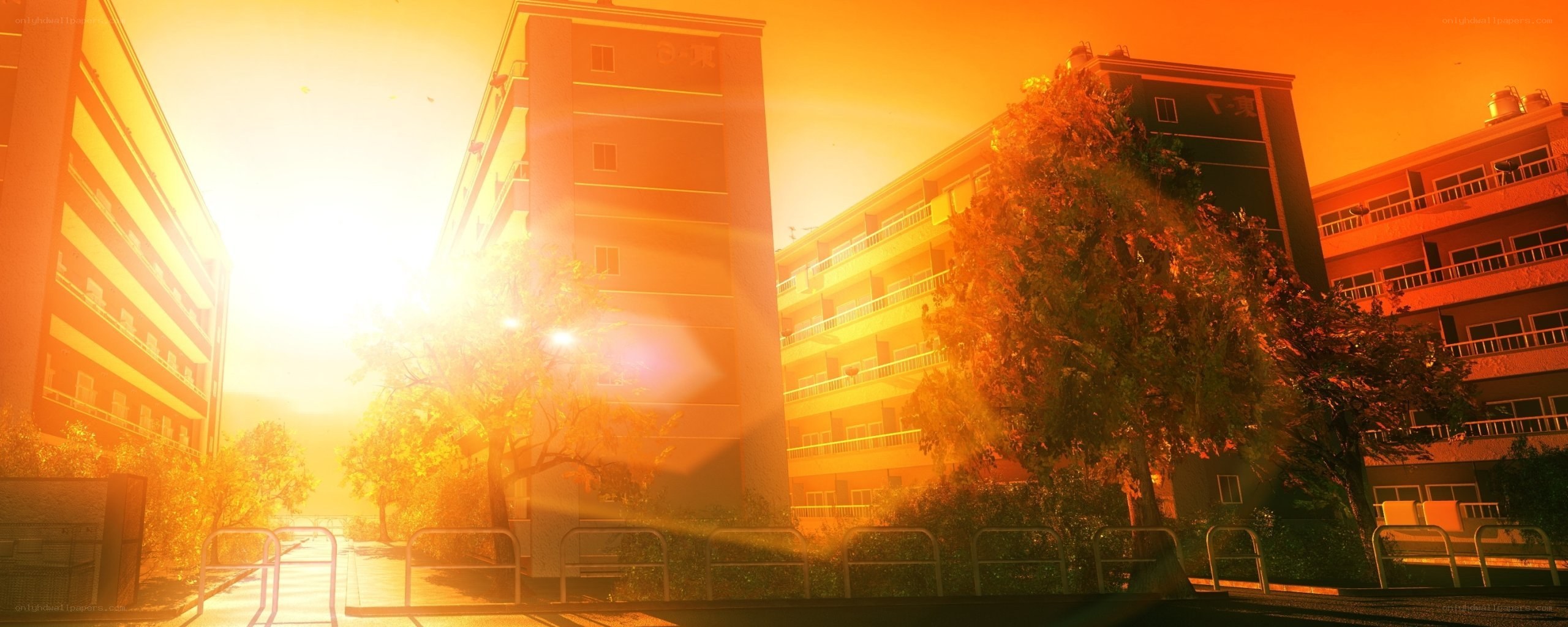 Sunset over apartment buildings