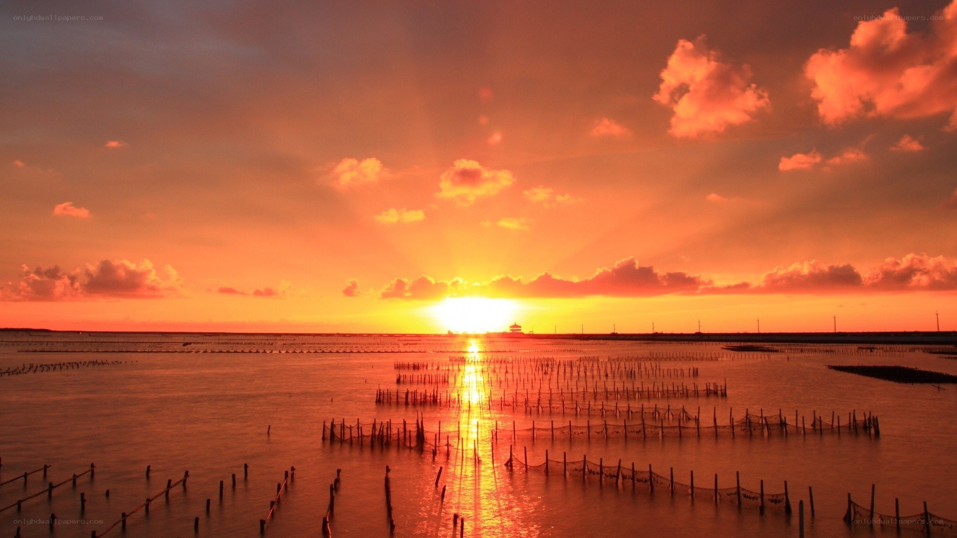 Sunset over aquaculture farm