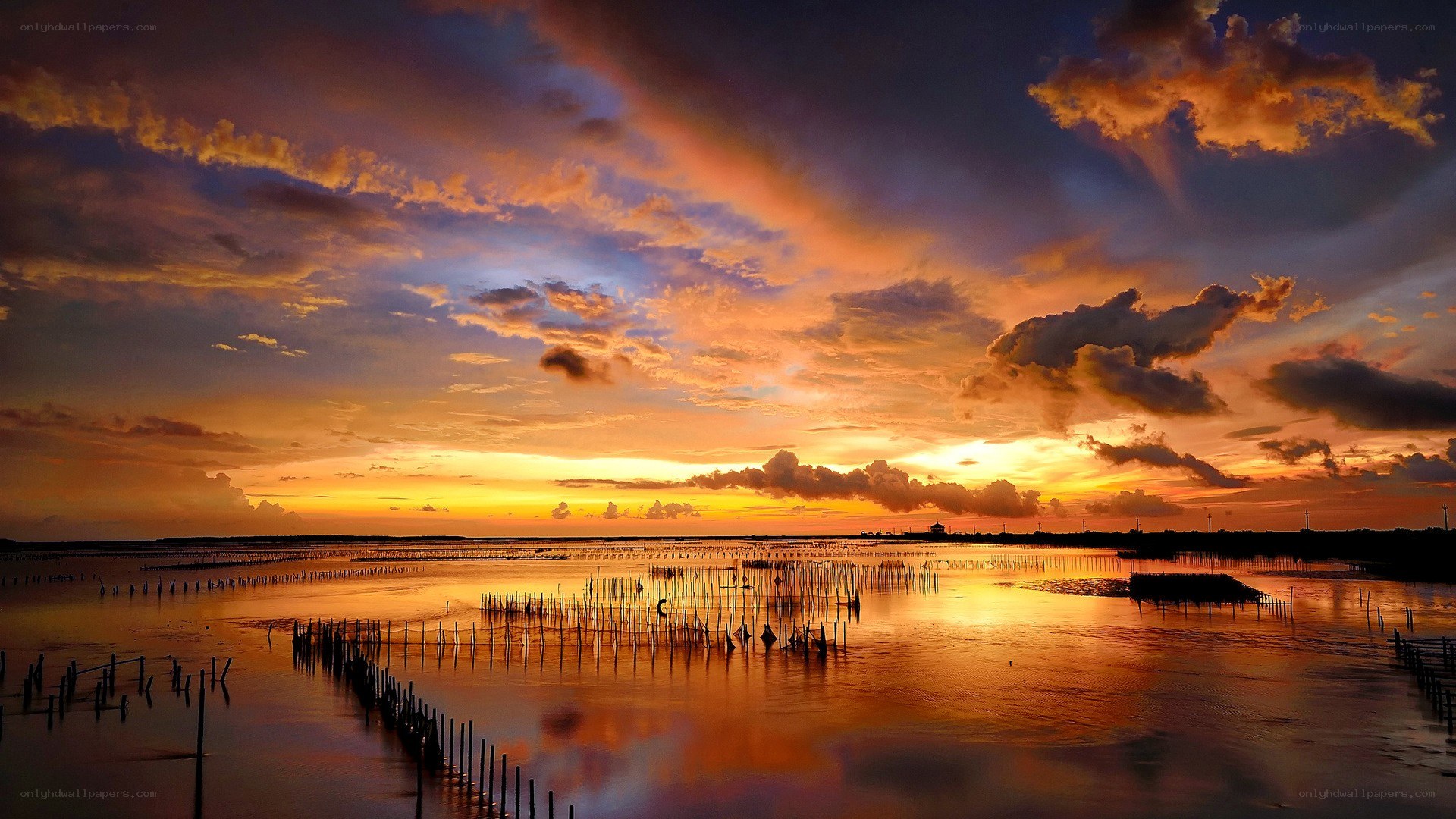 Sunset over aquaculture farm