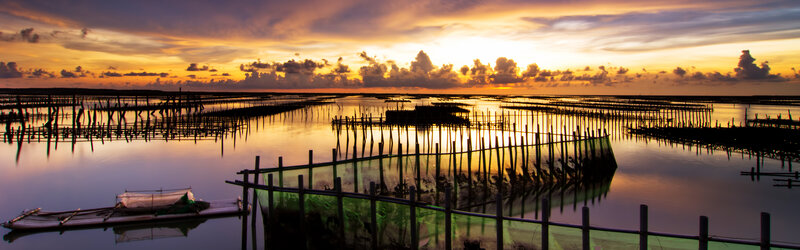 Sunset over Aquaculture Farm — Orange
