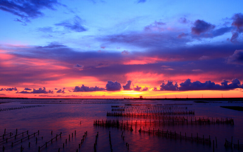 Sunset over Aquaculture Farm — Purple