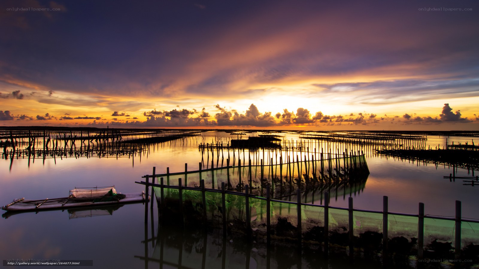Sunset over Aquaculture Farms