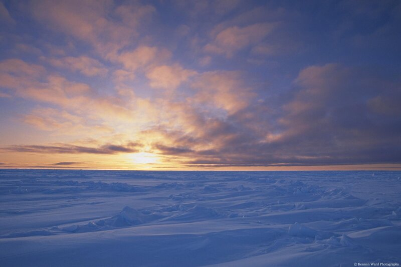 Sunset over Arctic ice