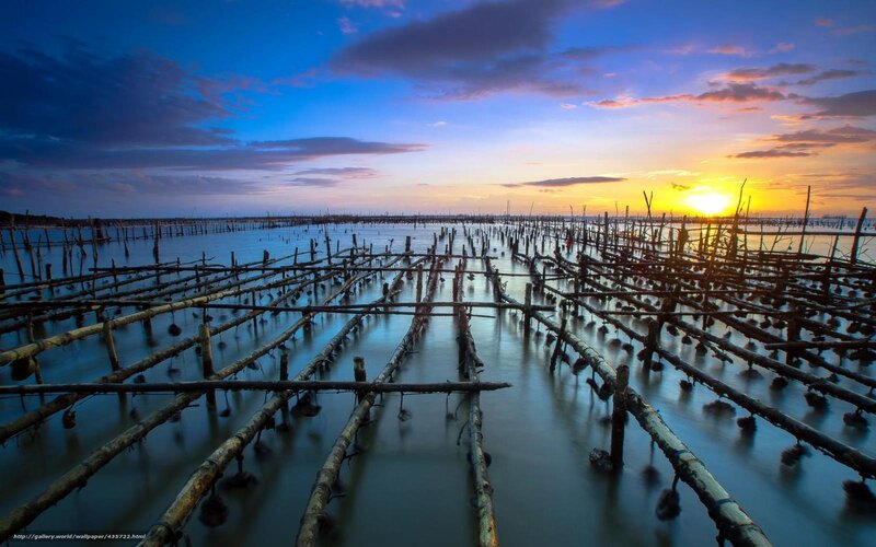 Sunset over bamboo fish traps