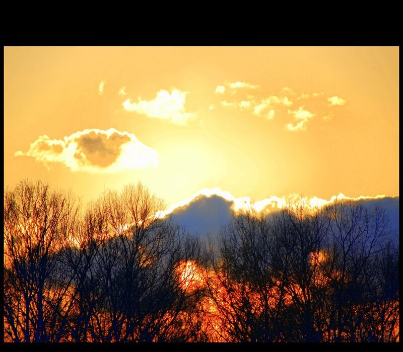 Sunset over bare trees