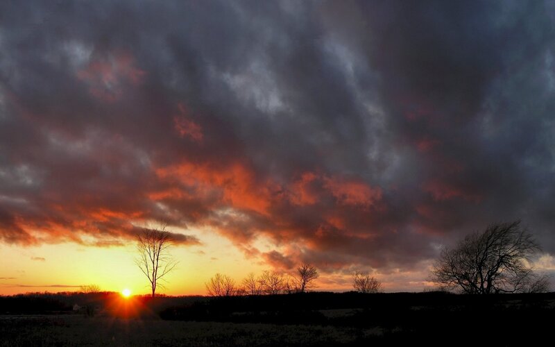 Sunset over Bare Trees — Orange, Dramatic, Photograph, Sun