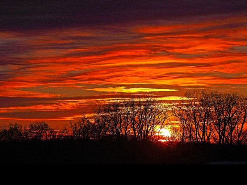 Sunset over Bare Trees — Orange, Dramatic