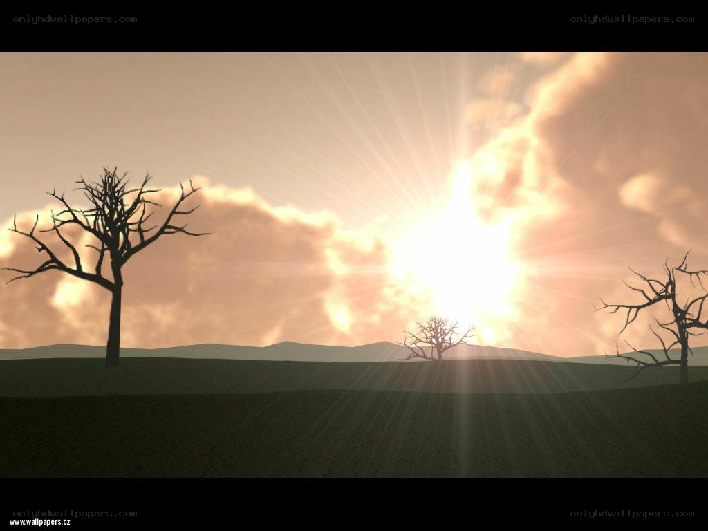 Sunset over barren landscape