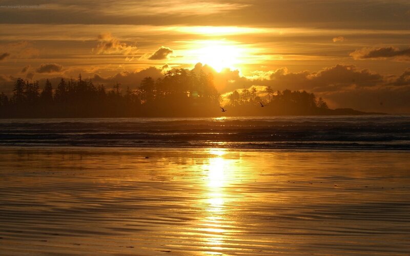 Sunset over Beach — Black