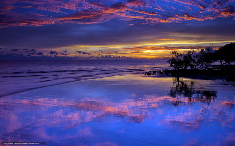 Sunset over Beach — Blue, Dramatic, Photograph, Ocean, Clouds, Tree
