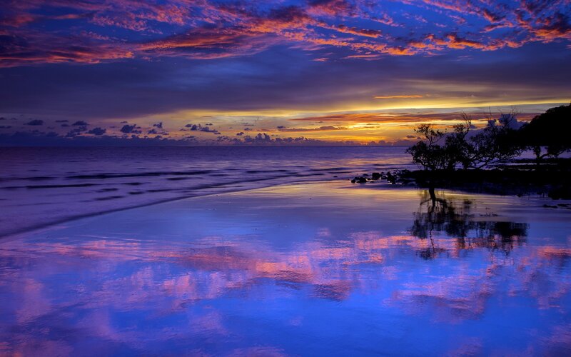 Sunset over Beach — Blue, Serene, Photograph, Ocean, Trees
