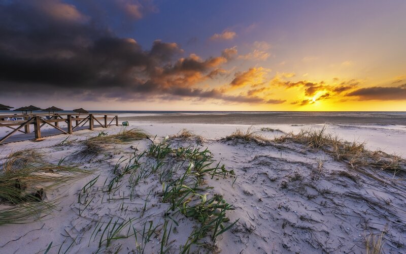 Sunset over Beach Dunes — Yellow