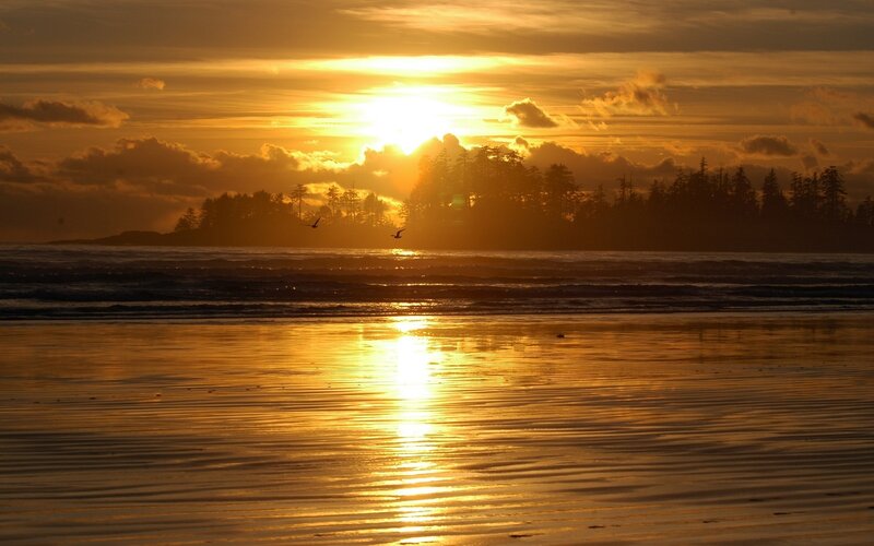 Sunset over Beach — Gold, Serene, Photograph, Ocean