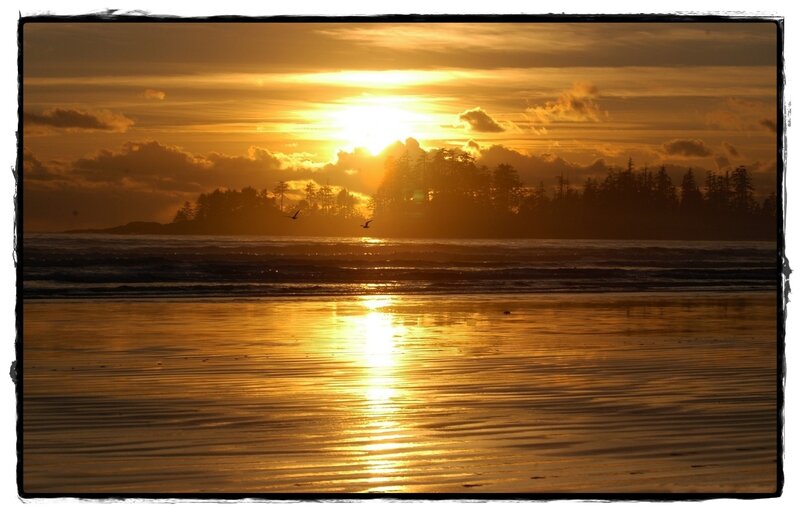 Sunset over Beach — Gold, Serene, Photograph