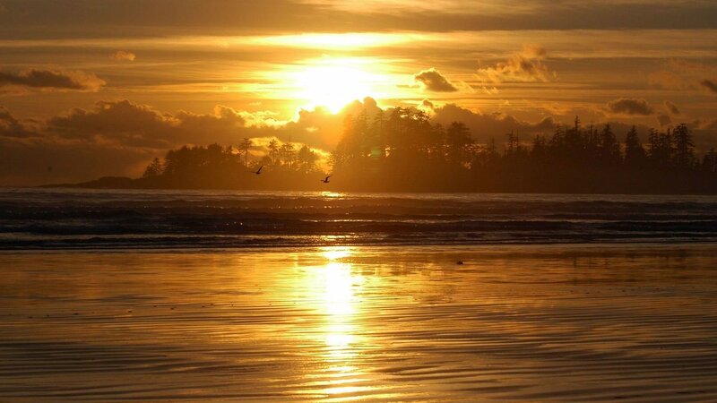 Sunset over Beach — Gold, Serene