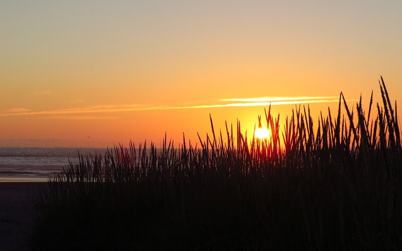 Sunset over Beach Grass — Orange, Serene