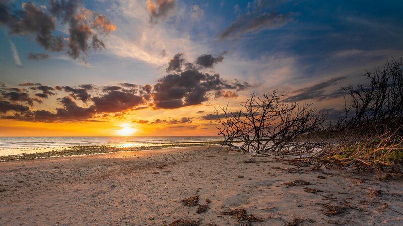 Sunset over Beach — Orange, Dramatic, Photograph, Driftwood