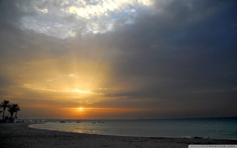 Sunset over Beach — Orange, Dramatic, Photograph, Palm Trees